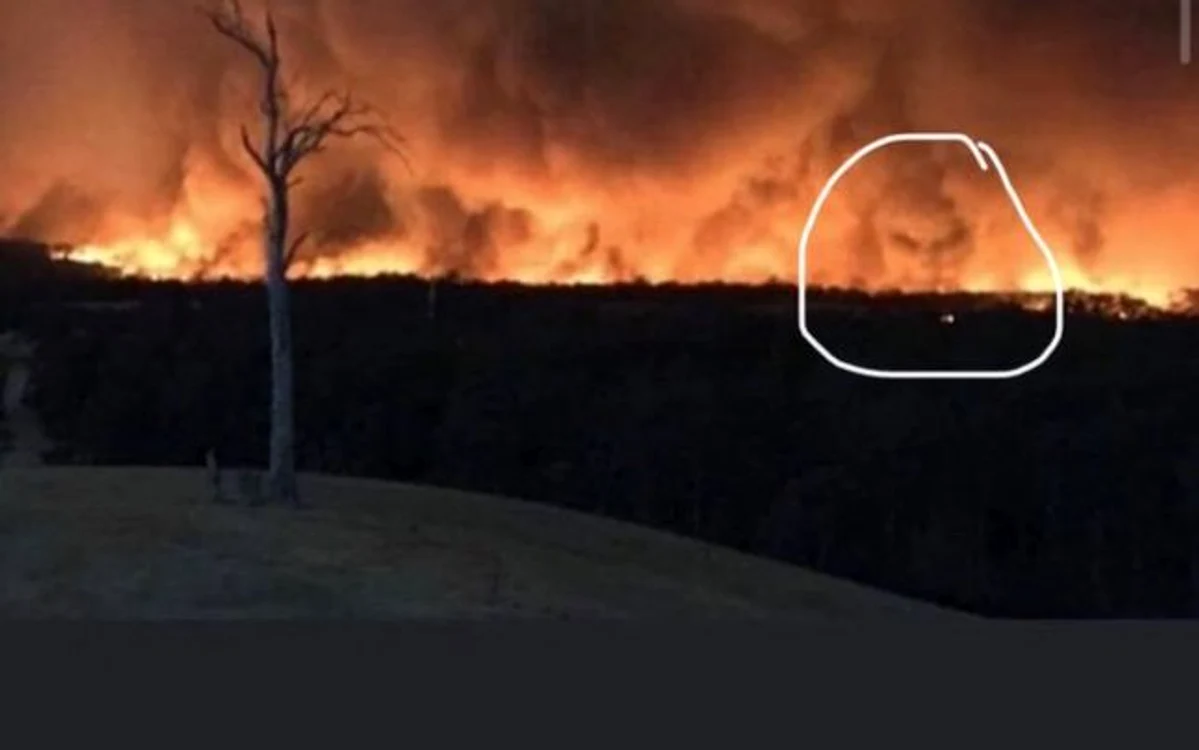 Incendii apocaliptice în Australia