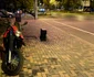 Imagine realizată cu iPhone 15 Plus (3) jpg