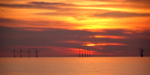 turbine eoliene in mare FOTO Shutterstock