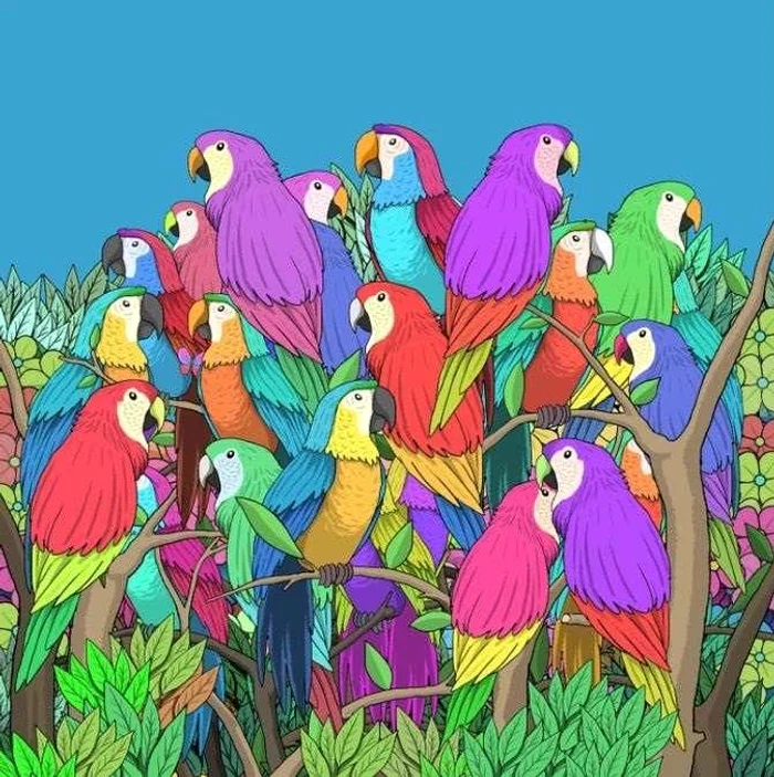 Fluturele trebuie găsit în doar 15 secunde