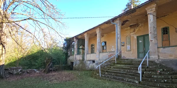 Conacul din Gurasada Foto Daniel Guță  ADEVĂRUL (7) jpg