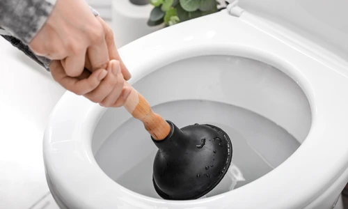 shutterstock 1364911121 jpg