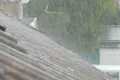 hans downpour 61916 jpg