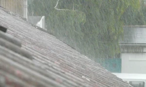 hans downpour 61916 jpg