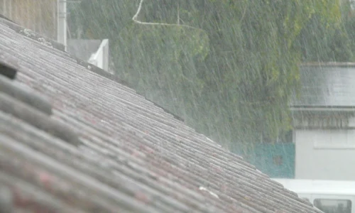 hans downpour 61916 jpg
