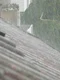 hans downpour 61916 jpg