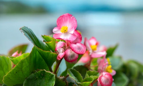 1 74609 original jpg jpeg