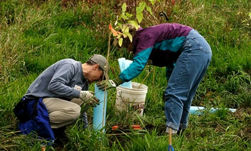 1 65732 original jpg jpeg