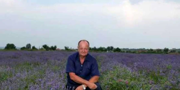 lavanda ocna mures