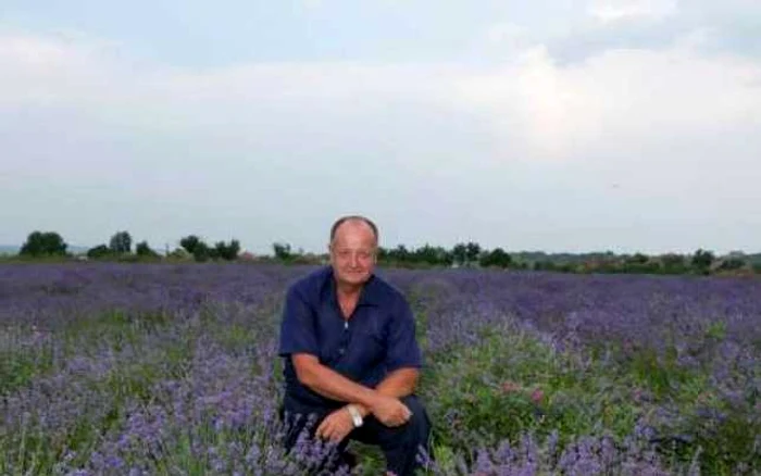 Ioan Iakob în câmpul de lavandă pe care îl deţine în judeţul Alba