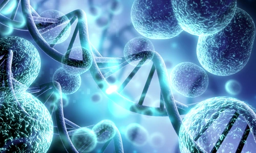 1 shutterstock 1245924046 jpg jpeg