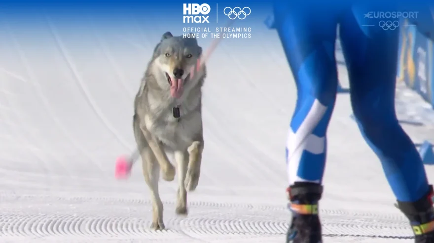 Un câine și-a făcut de cap pe pârtia de schi fond de la Jocurile Olimpice: „A fost cel mai ciudat lucru care s-a întâmplat până acum”