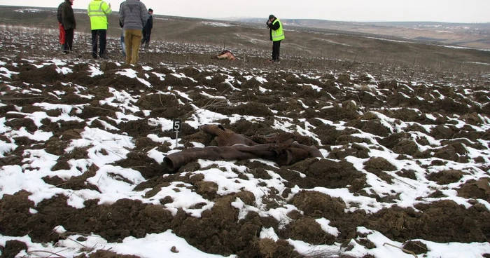 Criminaliştii au finalizat ancheta în cazul bătrânului găsit mort ieri