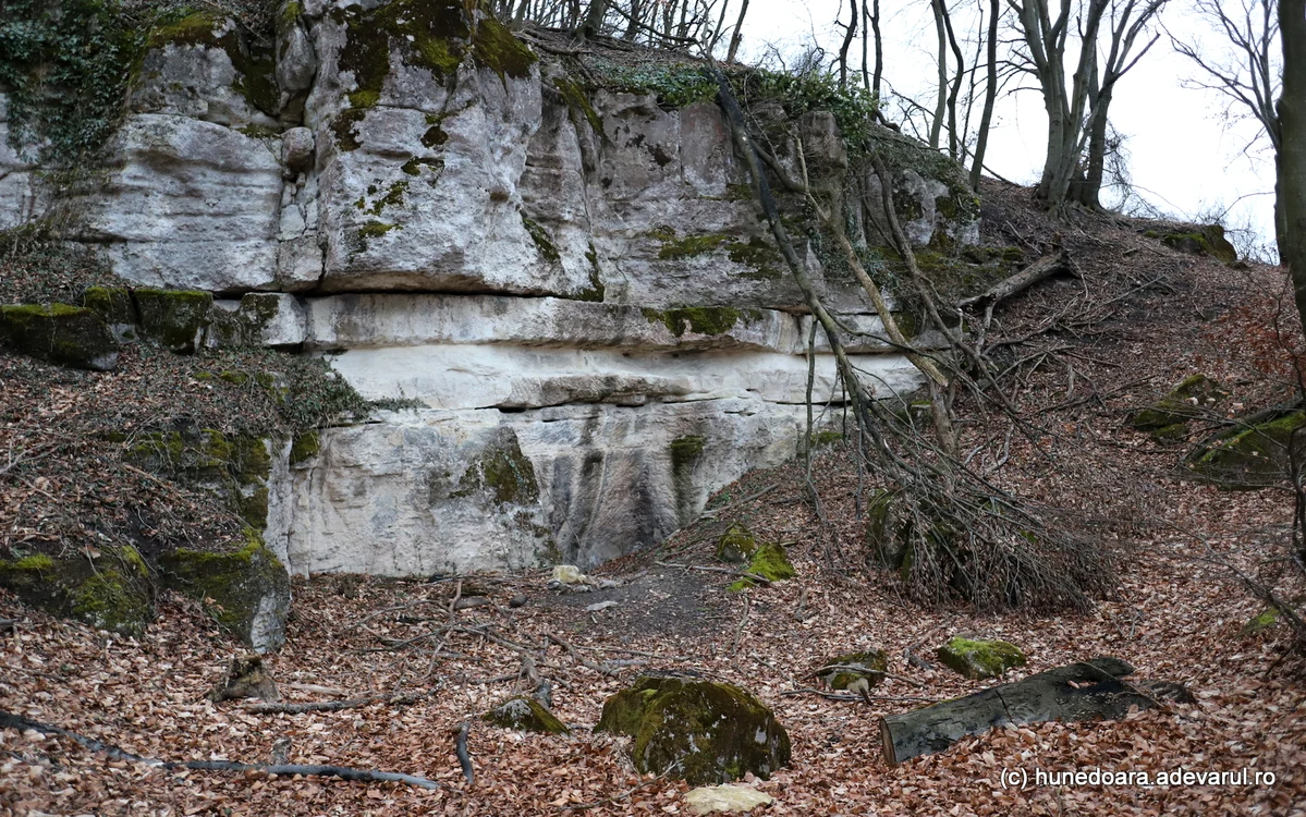 Front de lucru la Măgura Călanului. Foto: Daniel Guță