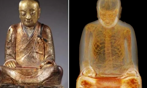 Mumia unui călugăr, descoperită într o statuie a lui Buddha veche de 1 000 de ani jpeg