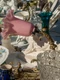 vase curatate1 jpeg