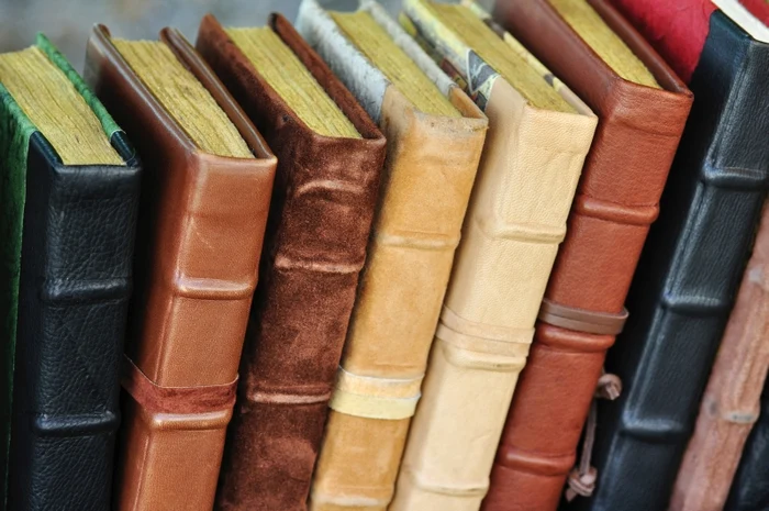 Jackie Collins suferea de cancer mamarfoto: Getty