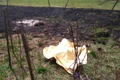 După ce a fost ucisă, Sabina a fost pusă într un geamantan și arsă pe marginea DN 6 în zona localității Ghimpați jpeg