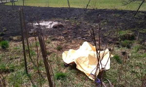 După ce a fost ucisă, Sabina a fost pusă într un geamantan și arsă pe marginea DN 6 în zona localității Ghimpați jpeg