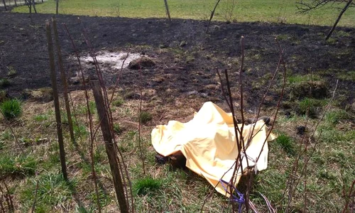 După ce a fost ucisă, Sabina a fost pusă într un geamantan și arsă pe marginea DN 6 în zona localității Ghimpați jpeg