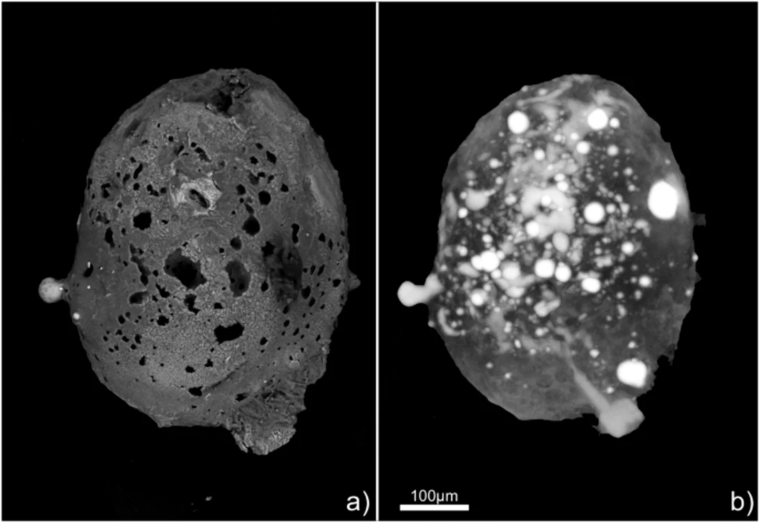 Meteorit descoperit în Italia FOTO Nature