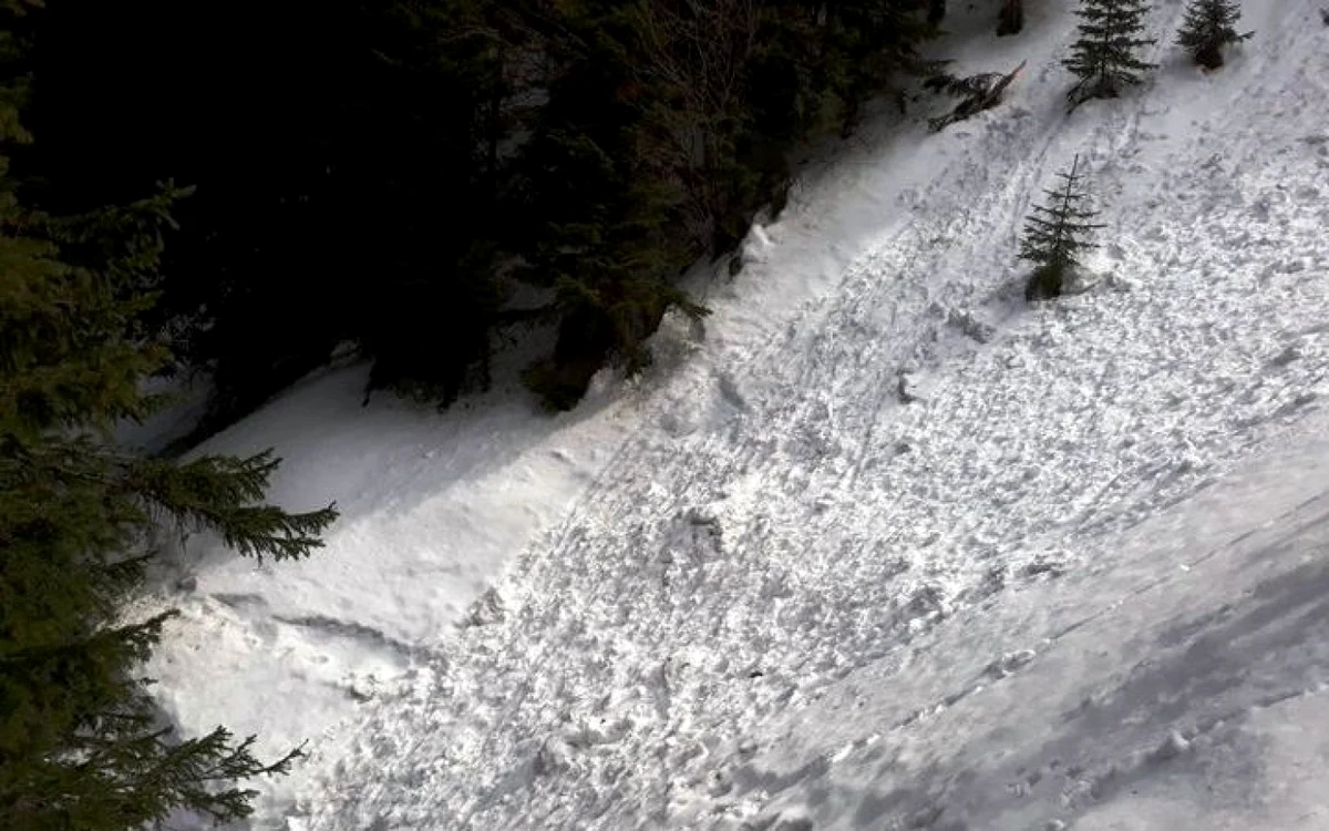 avalansaceahlau