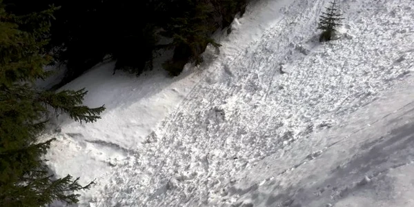 avalansaceahlau