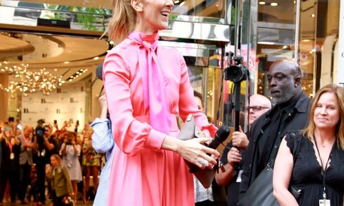 Celine Dion mobbed by fans in Montreal, Canada jpeg