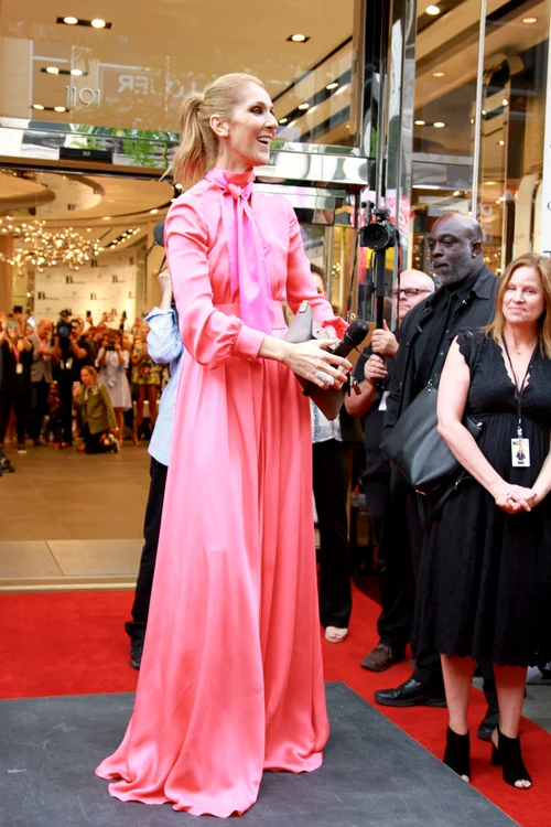 Celine Dion mobbed by fans in Montreal, Canada jpeg