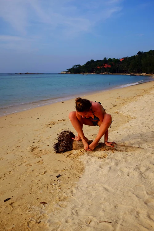 
    Adela Popesc (FOTO ADELAPOPESCU.EU)  