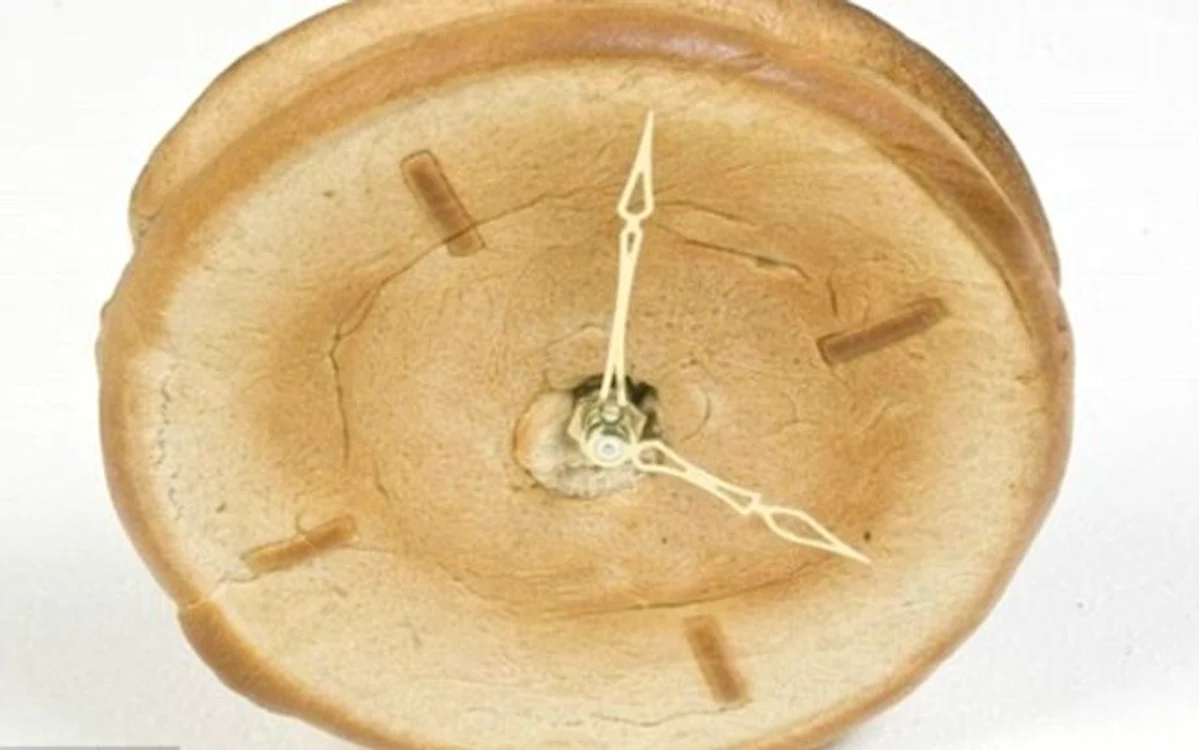 O artistă din Israel montează electronice funcţionale în pâine