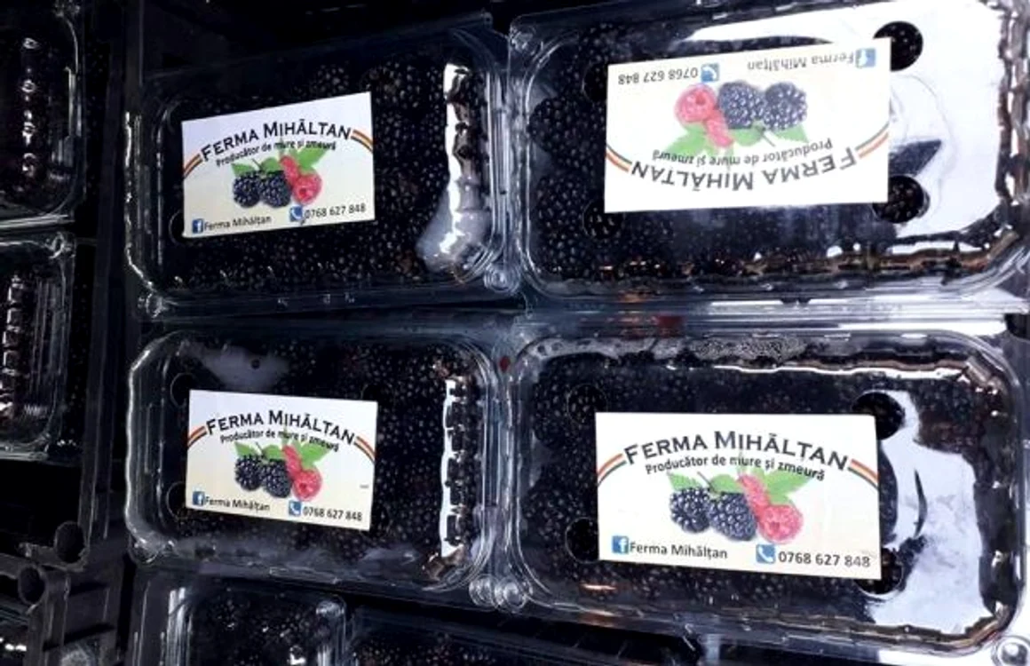 ferma mure alba