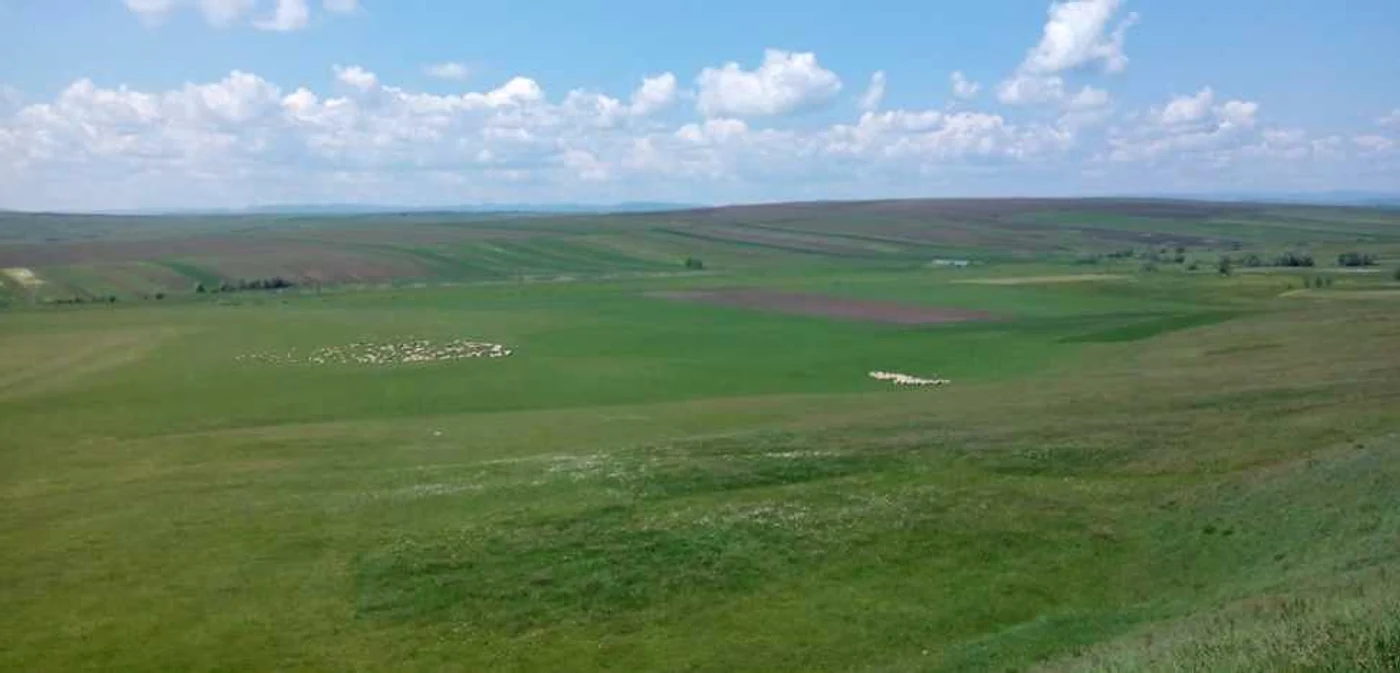 Zona în care în trecut exista satul Groapa Vlădichii. FOTO Dănuţ Zuzeac