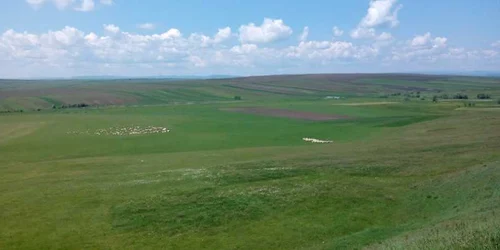 Groapa Vladichii. FOTO Danut Zuzeac