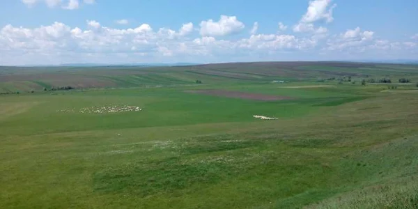 Groapa Vladichii. FOTO Danut Zuzeac
