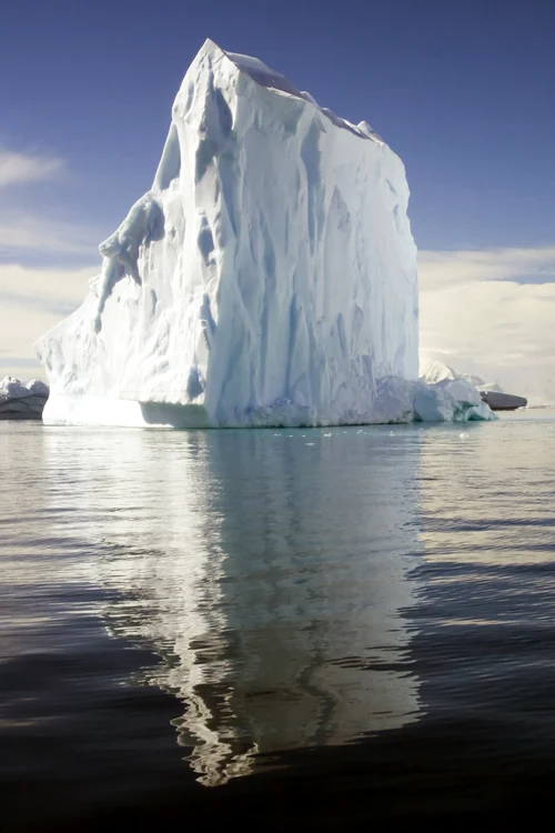 
    Iceberg-urile vor apărea tot mai des datorită rupturilor gheţarilor  