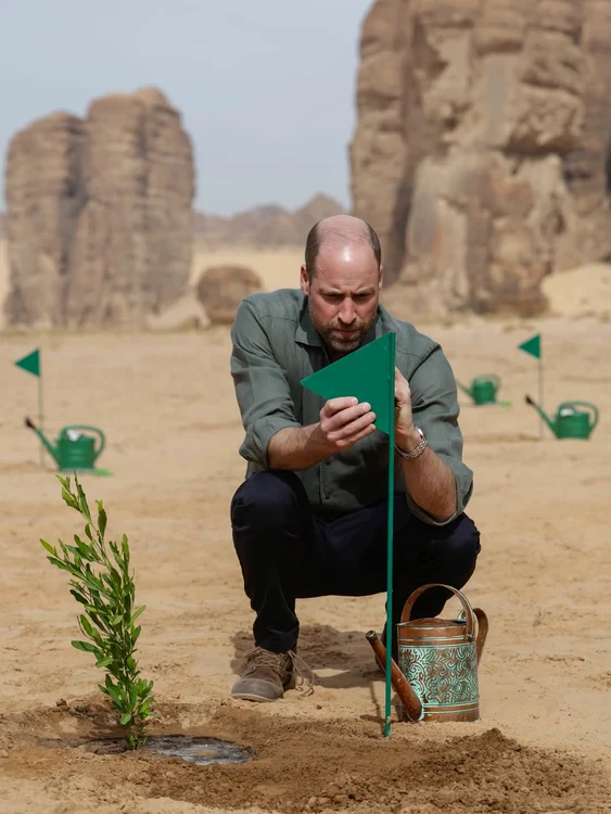 William în UAE, Foto Instagram (2) jpg