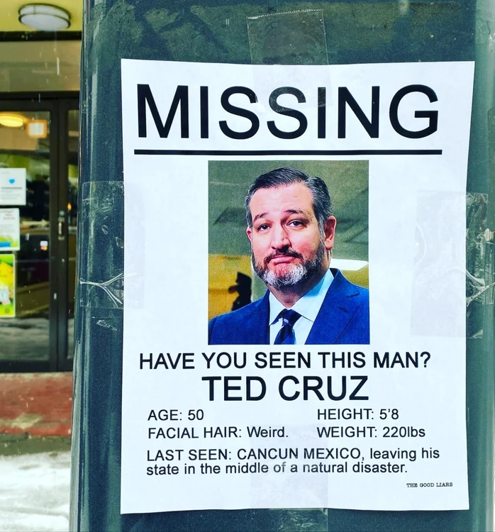 Mai multe afişe care-l dau dispărut pe Ted Cruz au apărut pe străzile oraşelor din Texas / FOTO Twitter / The Good Liars