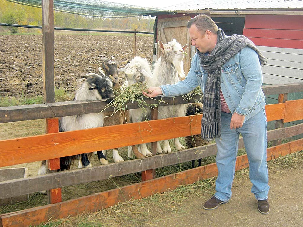 Nu există plăcere mai mare, la ţară, decât  să hrăneşti animalele