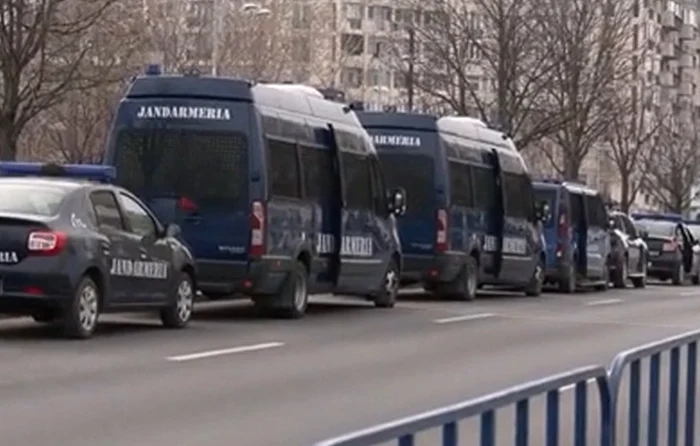 Zeci de dube ale Jandarmeriei, în fața sediului CCR FOTO: captura Antena 3