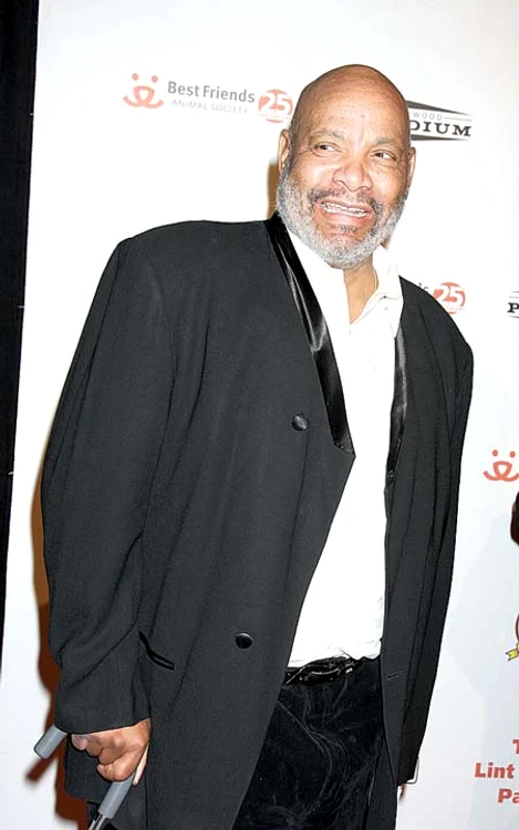 
    James Avery a jucat  în 141 de episoade din  serialul de succes (Foto: WENN)  