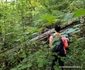 Fosta cale ferată Hunedoara Govajdia Foto Daniel Guță ADEVĂRUL (170) jpg