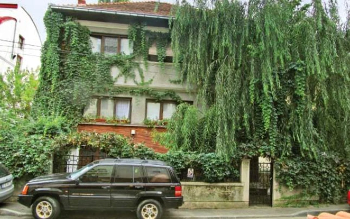 Palatul în care Gelu Voican Voiculescu stă de aproape 30 de ani 