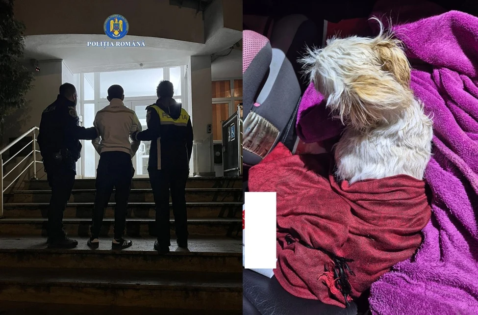 Răzbunarea șocantă a unui bărbat din Hunedoara, după o ceartă cu soția: a aruncat câinele familiei de la etaj