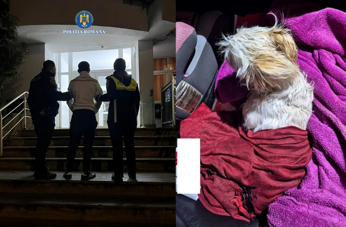 Bărbatul a fost reținut, câinele a fost dus la medic FOTO: IPJ Hunedoara