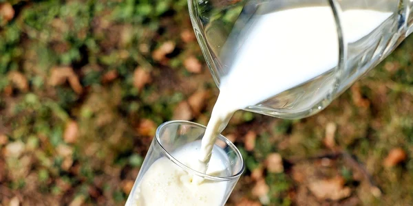 lapte lactate Sursa foto Pixabay jpg