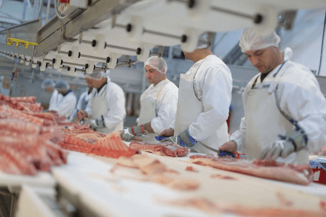 România angajează muncitori străini pentru că ai noștri nu vor să muncească cu forme legale. Deficitul de forță de muncă este de peste 600.000 