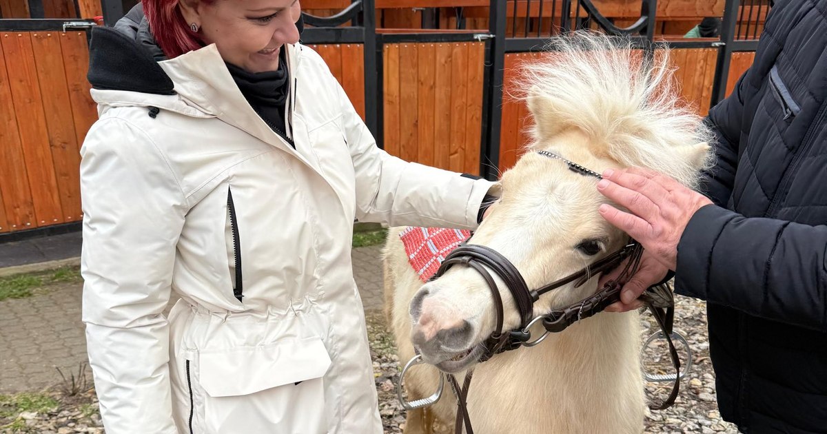 Ce surprize mai pregătește Olguța Vasilescu de Crăciun: căprioarele se vor plimba libere, copiii pot călări ponei