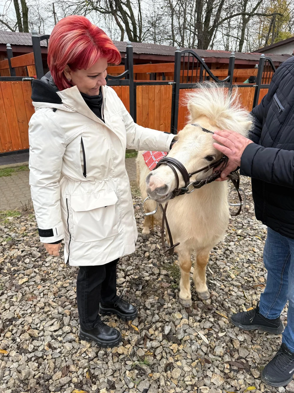 Ce surprize mai pregătește Olguța Vasilescu de Crăciun: căprioarele se vor plimba libere, copiii pot călări ponei