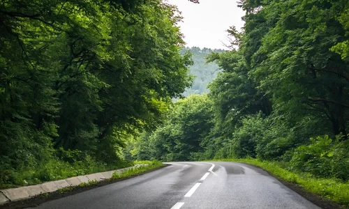road 6387241 1280 jpg